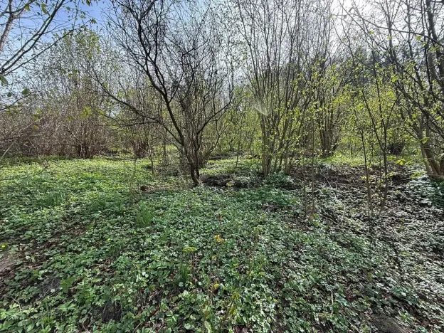 Prodej pozemku pro bydlení, Bušín, 3553 m2