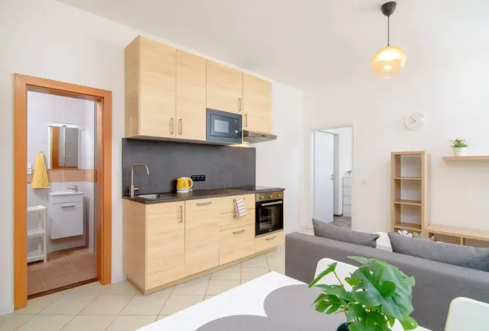 Pronájem bytu 2+kk, Praha - Karlín, Sokolovská, 50 m2