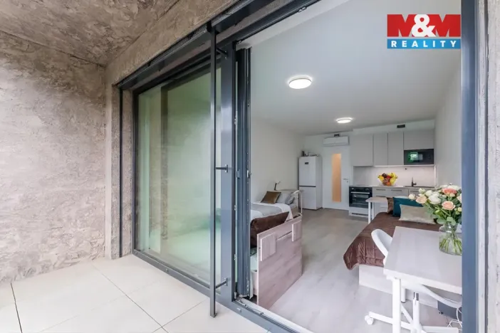 Prodej bytu 1+kk, Praha - Žižkov, Tetauerova, 33 m2