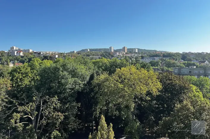 Prodej bytu 2+1, Ústí nad Labem, U Nemocnice, 90 m2