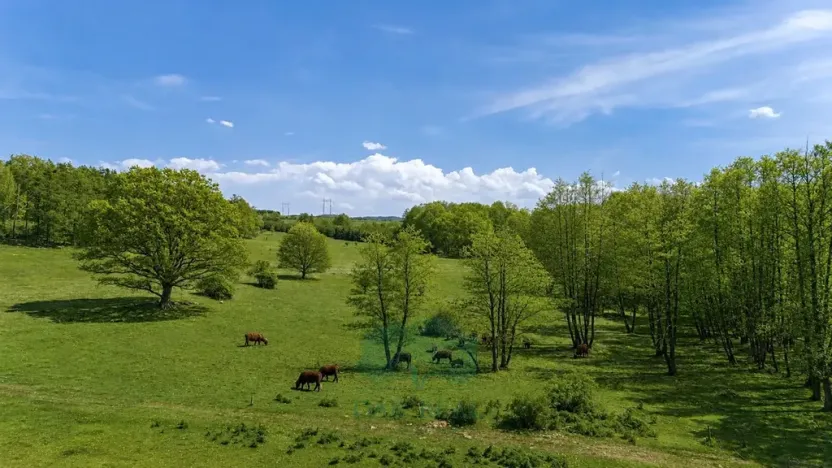 Prodej louky, Vrchotovy Janovice, 274000 m2
