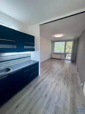 Pronájem bytu 2+kk, Bílina, Tylova, 40 m2