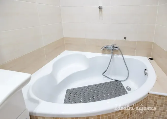 Pronájem bytu 2+kk, Praha - Vinohrady, Písecká, 48 m2