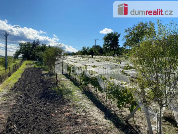 Pronájem - jiné, Tvrdonice, Kůt, 29 m2