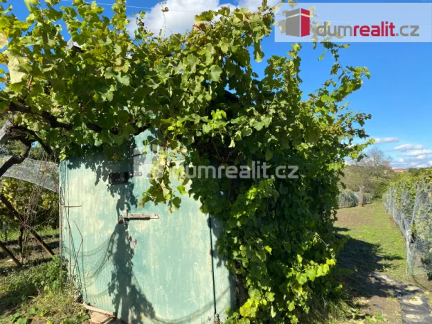 Pronájem - jiné, Tvrdonice, Kůt, 29 m2