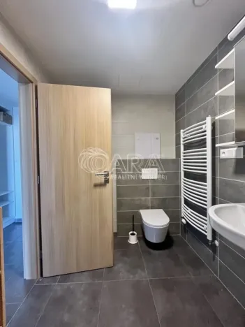 Pronájem bytu 2+kk, Plzeň - Východní Předměstí, Papírnická, 60 m2