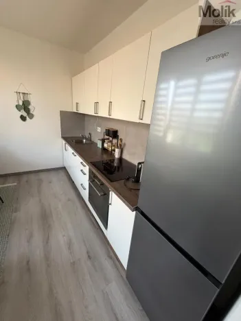 Prodej bytu 2+1, Most, Jaroslava Vrchlického, 54 m2