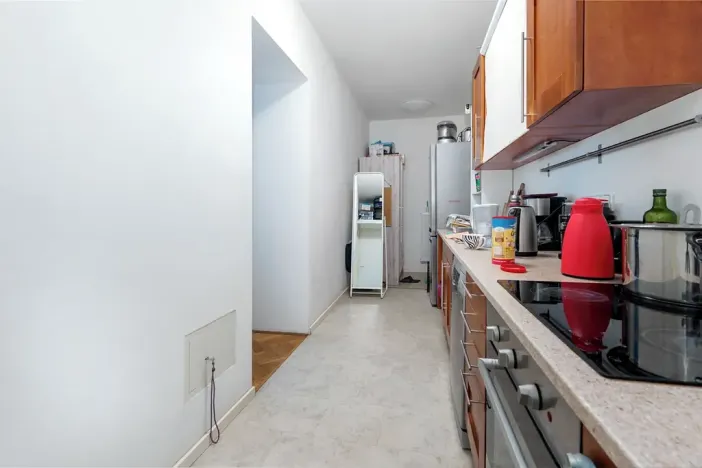 Prodej bytu 2+kk, Praha - Vinohrady, Velehradská, 54 m2