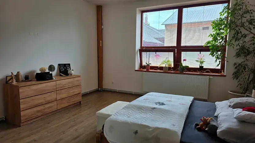 Prodej apartmánu, Ostrava, Zengrova, 397 m2