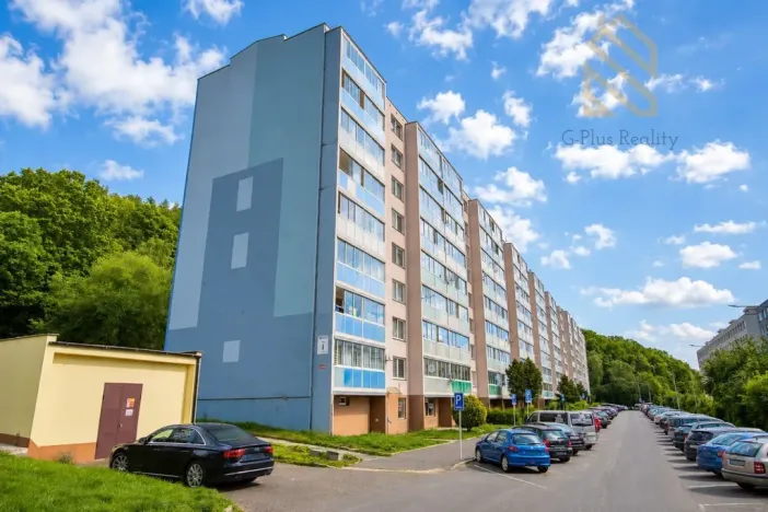 Prodej bytu 4+1, Litvínov - Janov, Luční, 89 m2