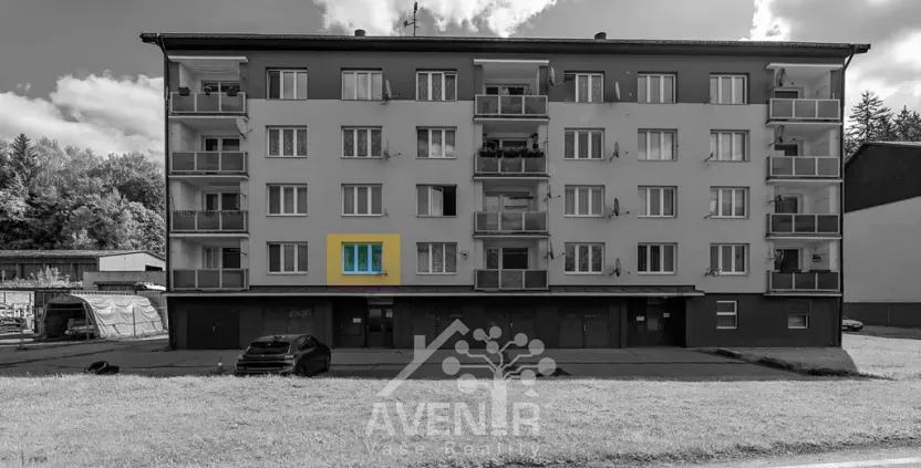 Prodej bytu 1+kk, Velké Hamry, 19 m2