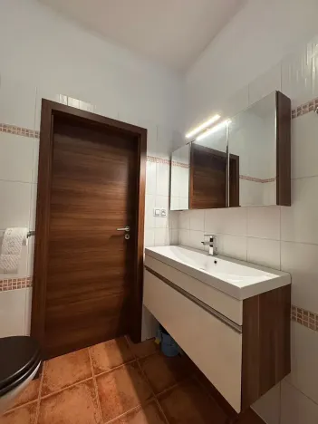 Pronájem bytu 1+kk, České Budějovice, Tylova, 39 m2