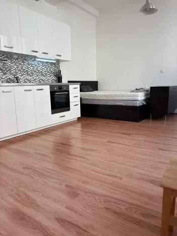 Pronájem bytu 1+kk, Praha - Nusle, Bartoškova, 36 m2