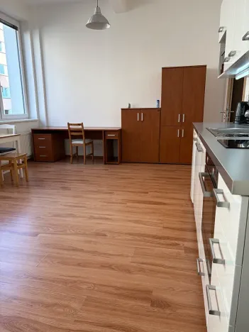 Pronájem bytu 1+kk, Praha - Nusle, Bartoškova, 36 m2
