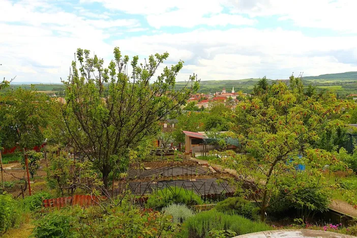 Prodej zahrady, Kadaň, Zahradní, 385 m2