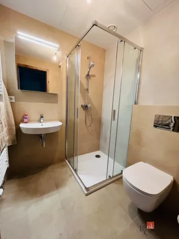 Pronájem bytu 1+kk, Plzeň - Jižní Předměstí, U Borského parku, 24 m2