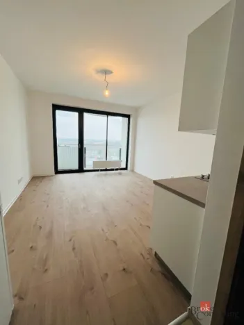 Pronájem bytu 1+kk, Plzeň - Jižní Předměstí, U Borského parku, 24 m2