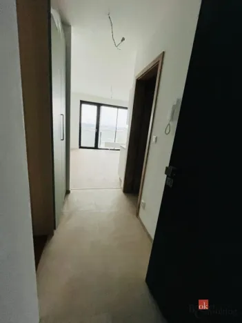 Pronájem bytu 1+kk, Plzeň - Jižní Předměstí, U Borského parku, 24 m2