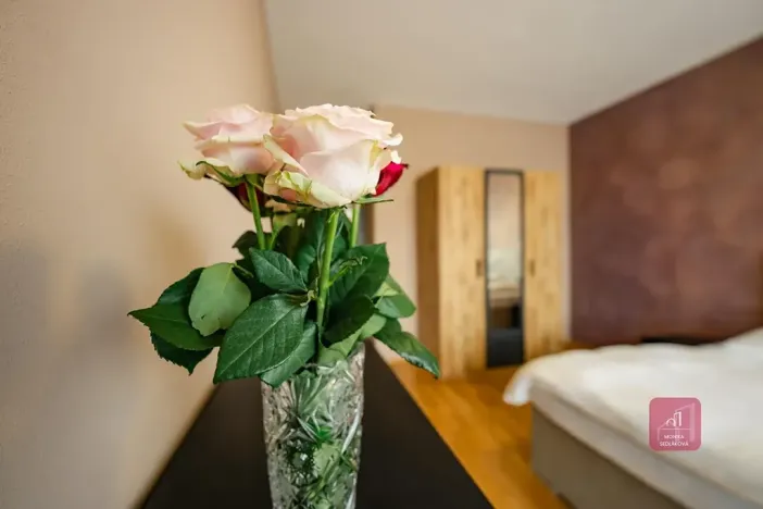 Prodej bytu 3+kk, Brno, Šumavská, 94 m2