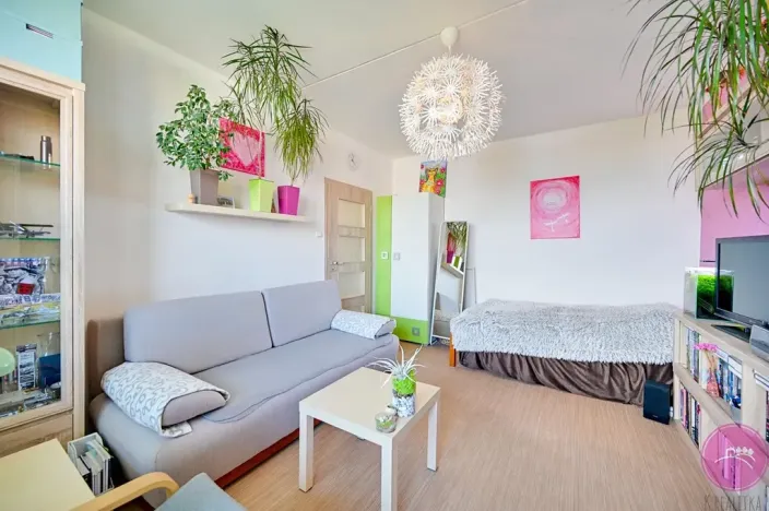 Prodej bytu 1+1, Olomouc, Heyrovského, 32 m2