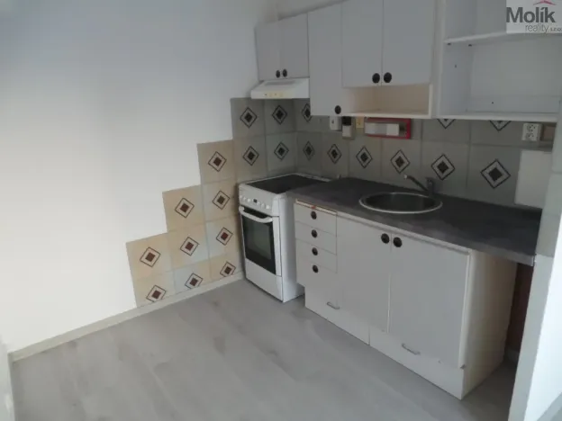 Pronájem bytu 1+kk, Most, Lidická, 33 m2