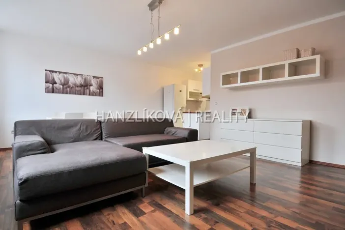 Pronájem bytu 2+kk, České Budějovice - České Budějovice 3, Riegrova, 65 m2