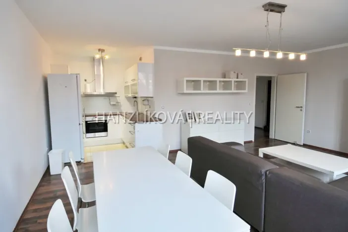 Pronájem bytu 2+kk, České Budějovice - České Budějovice 3, Riegrova, 65 m2