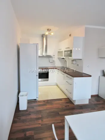 Pronájem bytu 2+kk, České Budějovice - České Budějovice 3, Riegrova, 65 m2