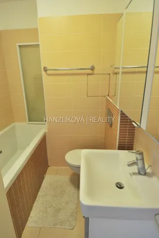 Pronájem bytu 2+kk, České Budějovice - České Budějovice 3, Riegrova, 65 m2