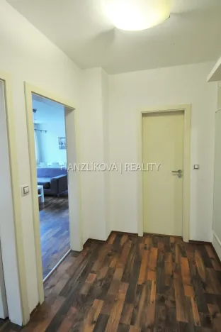 Pronájem bytu 2+kk, České Budějovice - České Budějovice 3, Riegrova, 65 m2