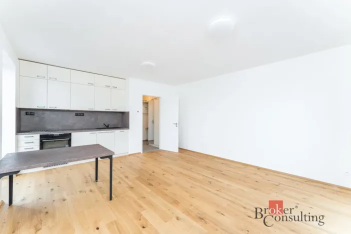 Pronájem bytu 1+kk, Praha - Chodov, K dubu, 35 m2