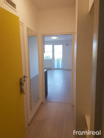 Pronájem bytu 1+kk, Brno, Reissigova, 34 m2