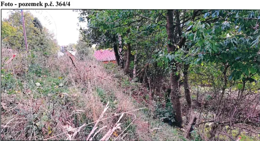 Prodej pozemku, Stráž nad Ohří, 2127 m2