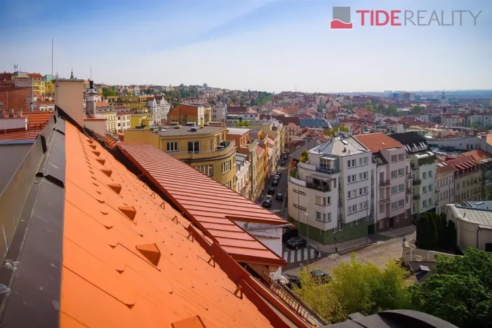 Pronájem bytu 4+kk, Praha - Vinohrady, U Havlíčkových sadů, 130 m2