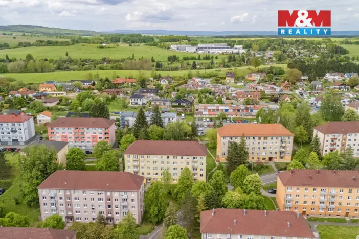 Prodej bytu 3+1, Tachov, Školní, 62 m2
