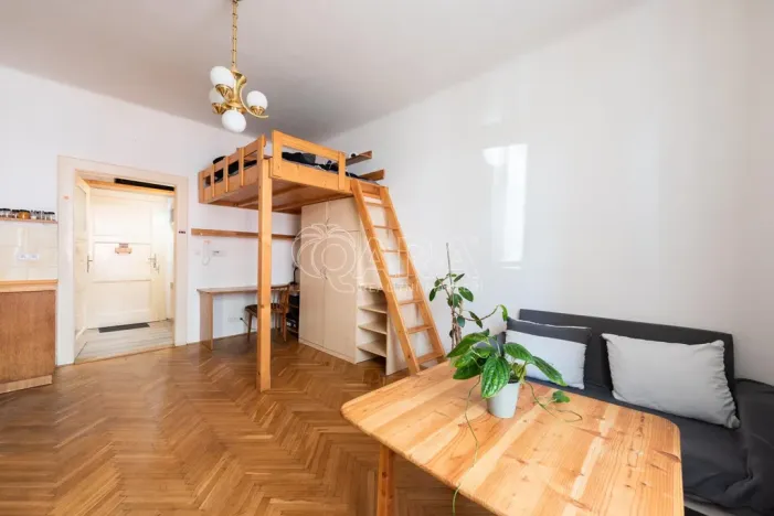 Prodej bytu 1+kk, Praha - Vinohrady, náměstí Jiřího z Lobkovic, 25 m2