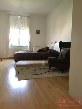 Pronájem bytu 6+kk a větší, Praha - Vinohrady, Chopinova, 204 m2