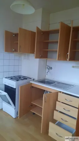 Pronájem bytu 1+1, Pardubice - Zelené Předměstí, nábřeží Závodu míru, 46 m2