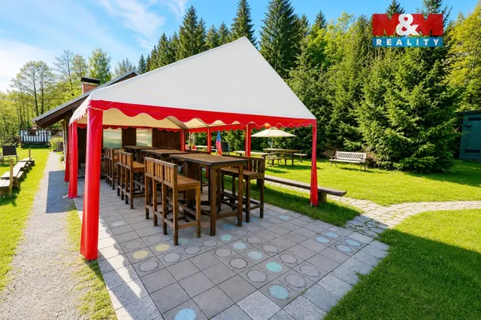 Prodej komerčního pozemku, Krucemburk - Staré Ransko, 21872 m2