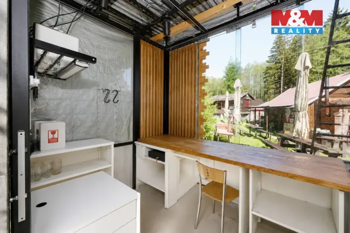 Prodej komerčního pozemku, Krucemburk - Staré Ransko, 21872 m2