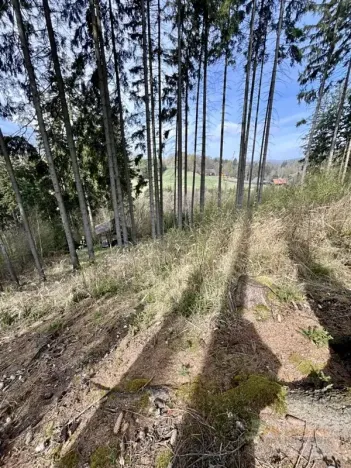 Prodej chaty, Velké Petrovice, 35 m2