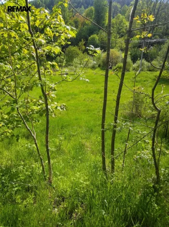 Prodej pozemku pro bydlení, Merklín, 1763 m2