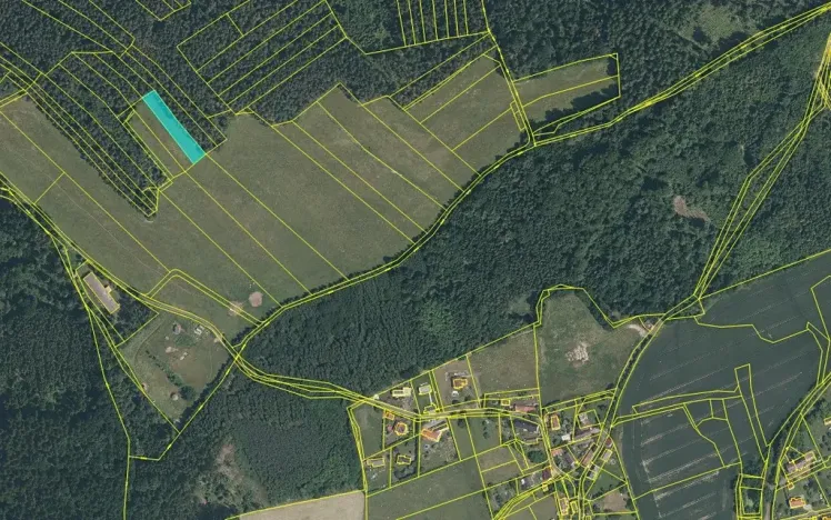 Prodej louky, Švihov, 1974 m2