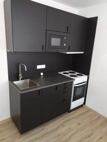 Pronájem bytu 1+1, Benešov, Nová Pražská, 42 m2