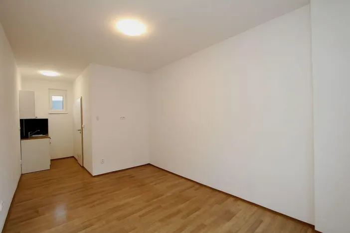 Pronájem bytu 1+kk, Pardubice - Rosice, generála Svobody, 21 m2