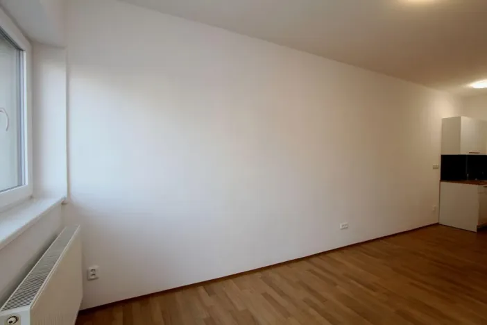 Pronájem bytu 1+kk, Pardubice - Rosice, generála Svobody, 21 m2