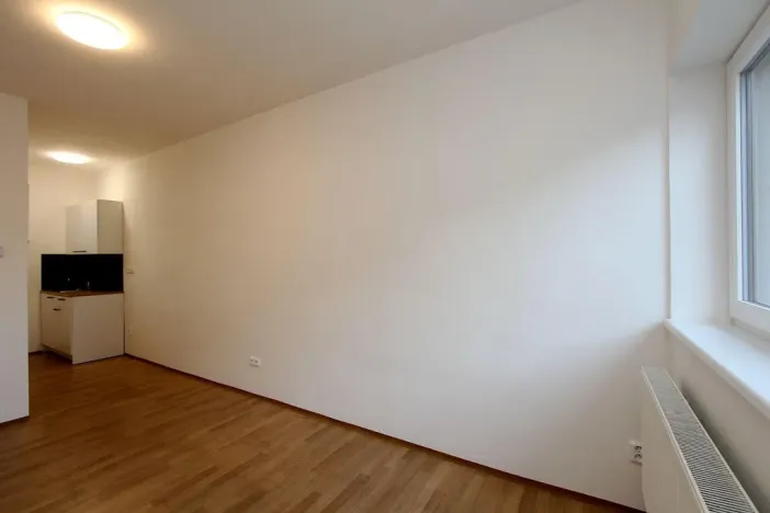 Pronájem bytu 1+kk, Pardubice - Rosice, generála Svobody, 22 m2