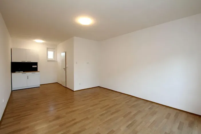 Pronájem bytu 1+kk, Pardubice - Rosice, generála Svobody, 29 m2