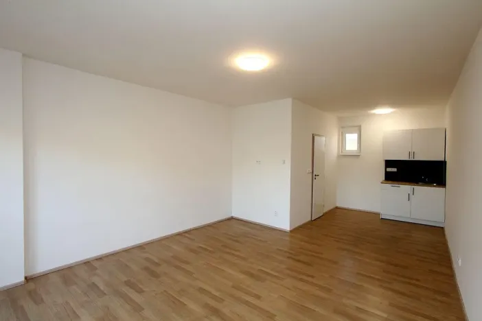 Pronájem bytu 1+kk, Pardubice - Rosice, generála Svobody, 29 m2