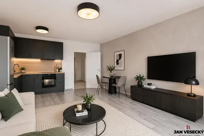 Prodej bytu 1+kk, Plzeň, Železná, 32 m2
